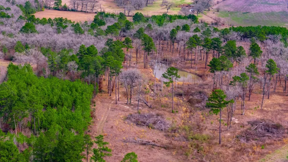 148 Private Road 8033 Crockett, TX 75835