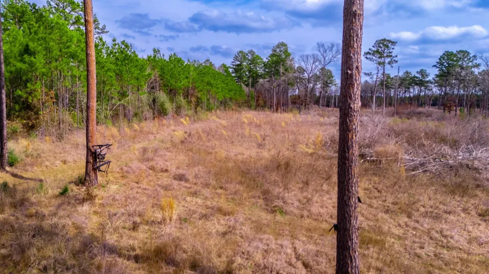 148 Private Road 8033 Crockett, TX 75835