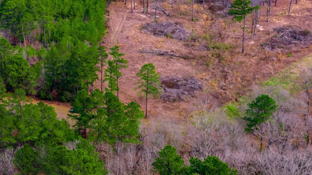 148 Private Road 8033 Crockett, TX 75835