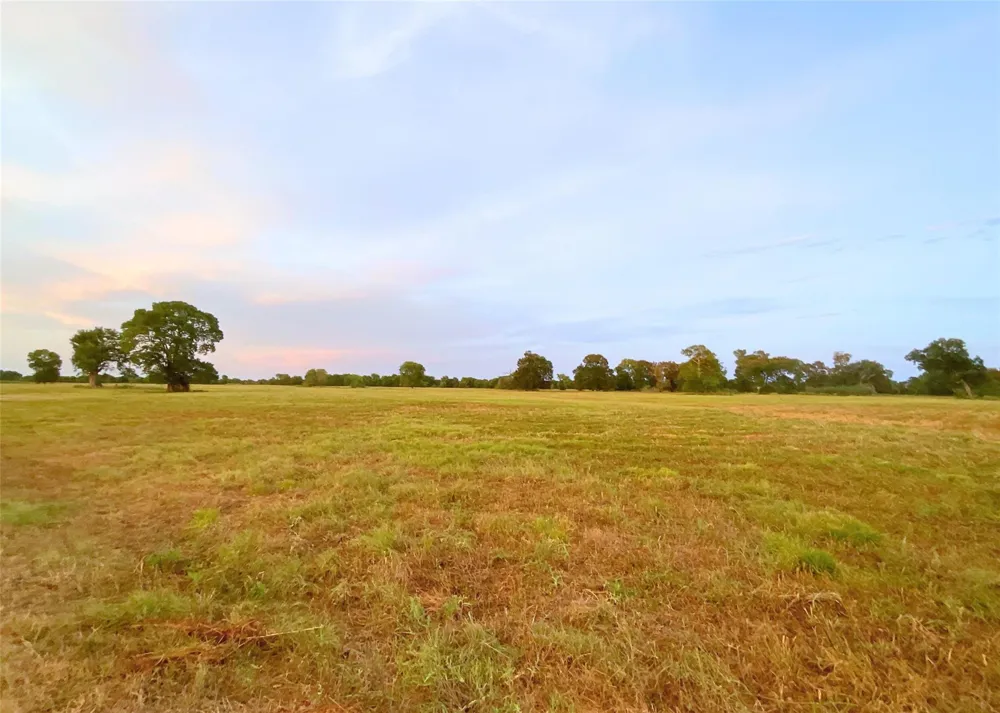 15025 Fm 2548 Midway, TX 75852