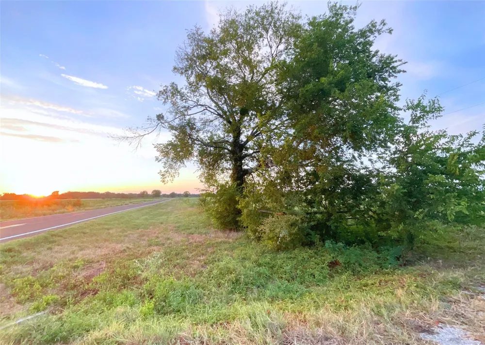 15025 Fm 2548 Midway, TX 75852