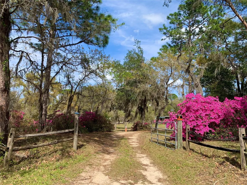 24605 and 24645 NE 177TH TERRACE Fort Mc Coy, FL 32134