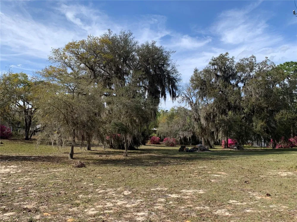 24605 and 24645 NE 177TH TERRACE Fort Mc Coy, FL 32134