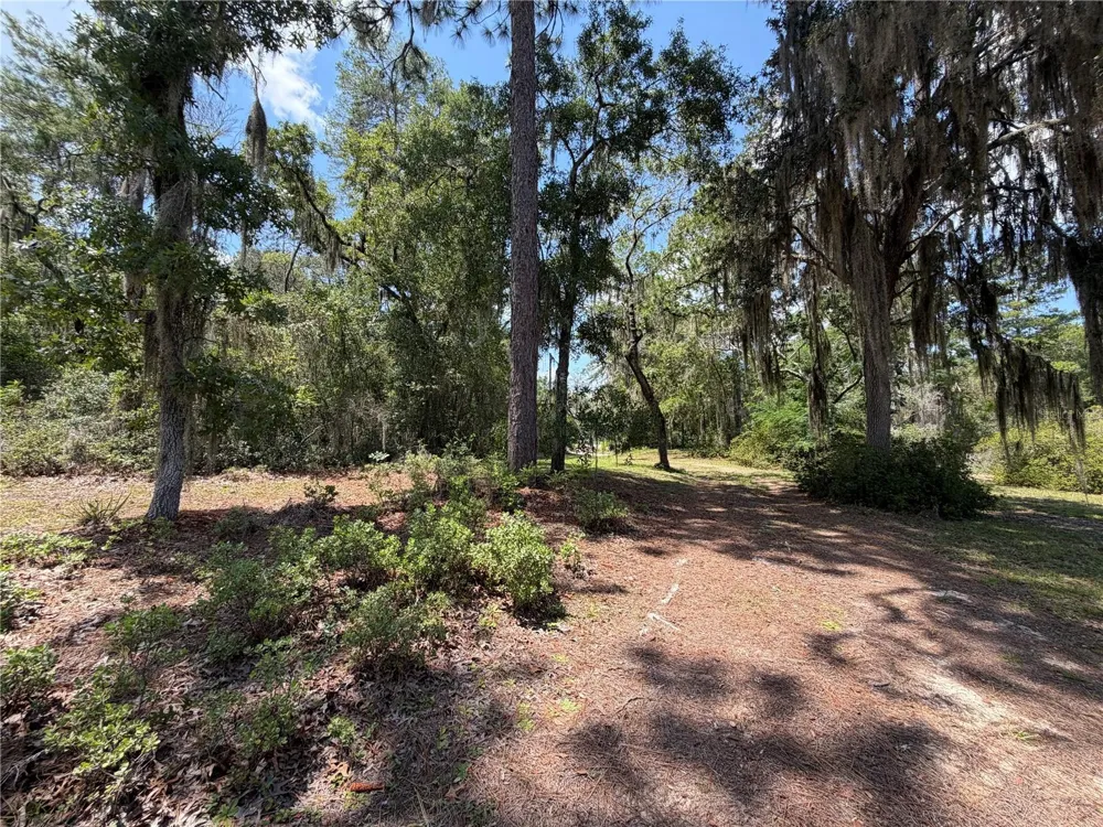 24605 and 24645 NE 177TH TERRACE Fort Mc Coy, FL 32134