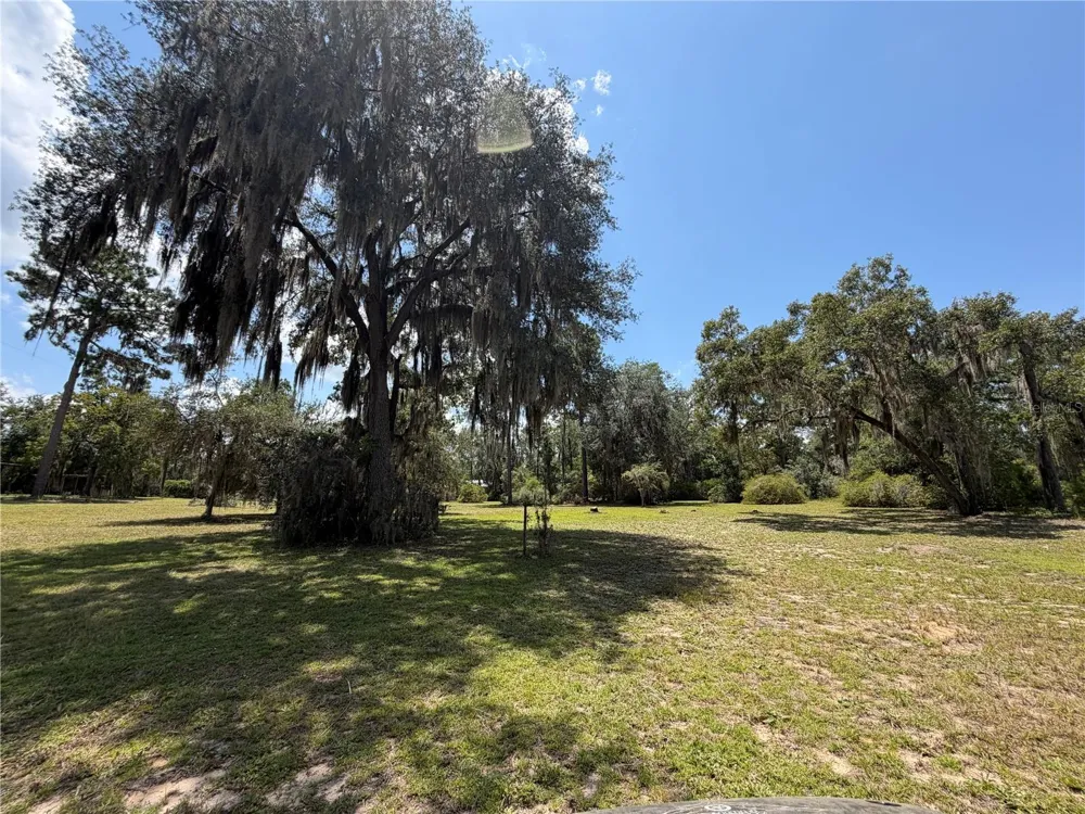 24605 and 24645 NE 177TH TERRACE Fort Mc Coy, FL 32134