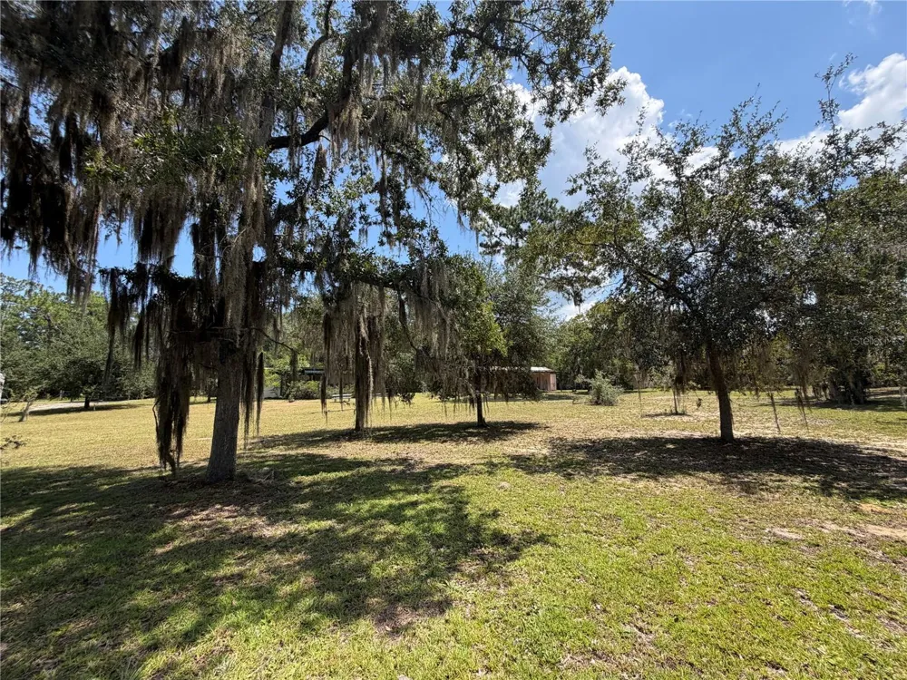 24605 and 24645 NE 177TH TERRACE Fort Mc Coy, FL 32134