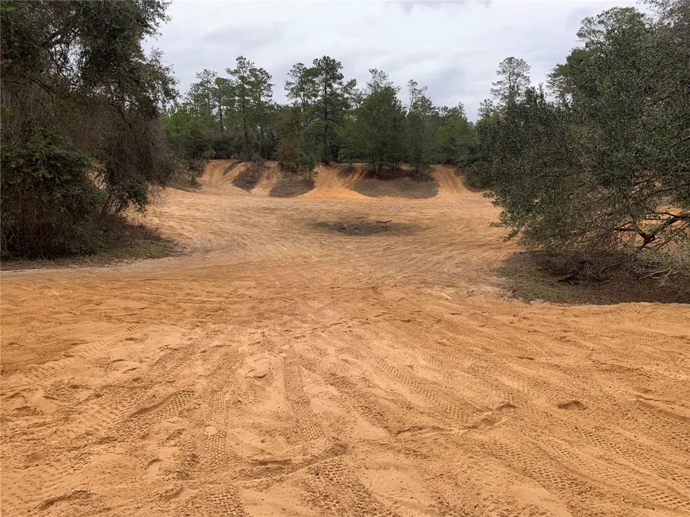 24605 and 24645 NE 177TH TERRACE Fort Mc Coy, FL 32134