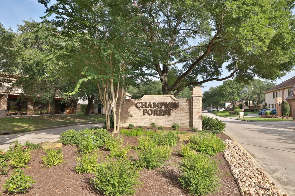 9203 Godstone Lane Spring, TX 77379