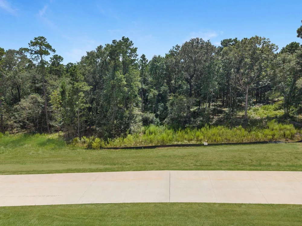 6 Oak Harvest Trail Willis, TX 77378
