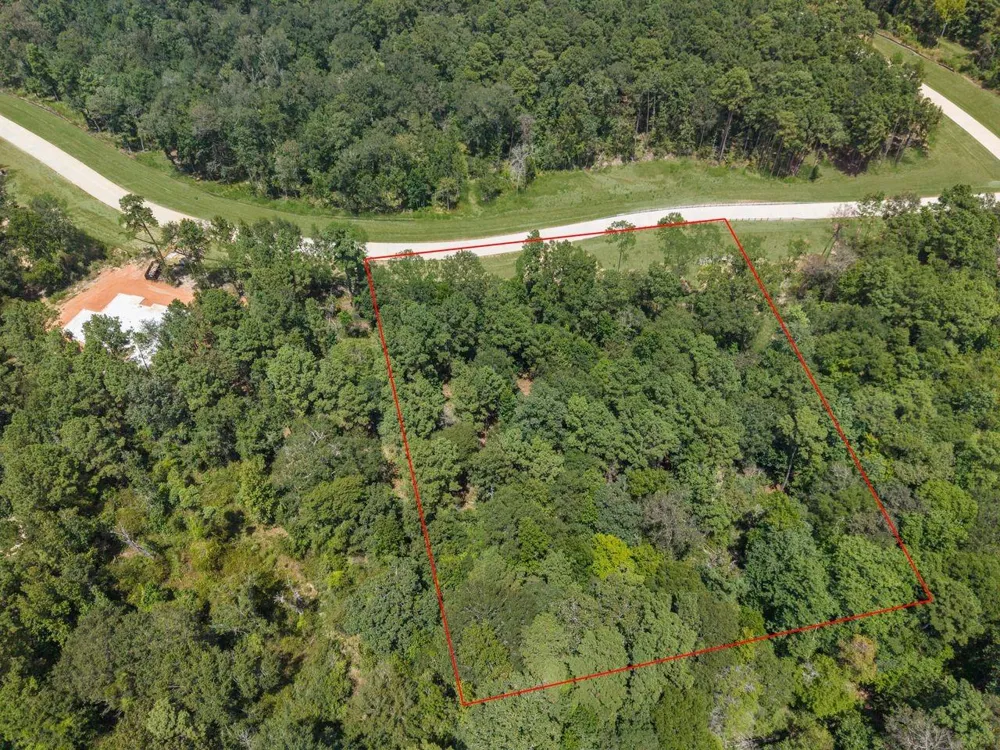 6 Oak Harvest Trail Willis, TX 77378