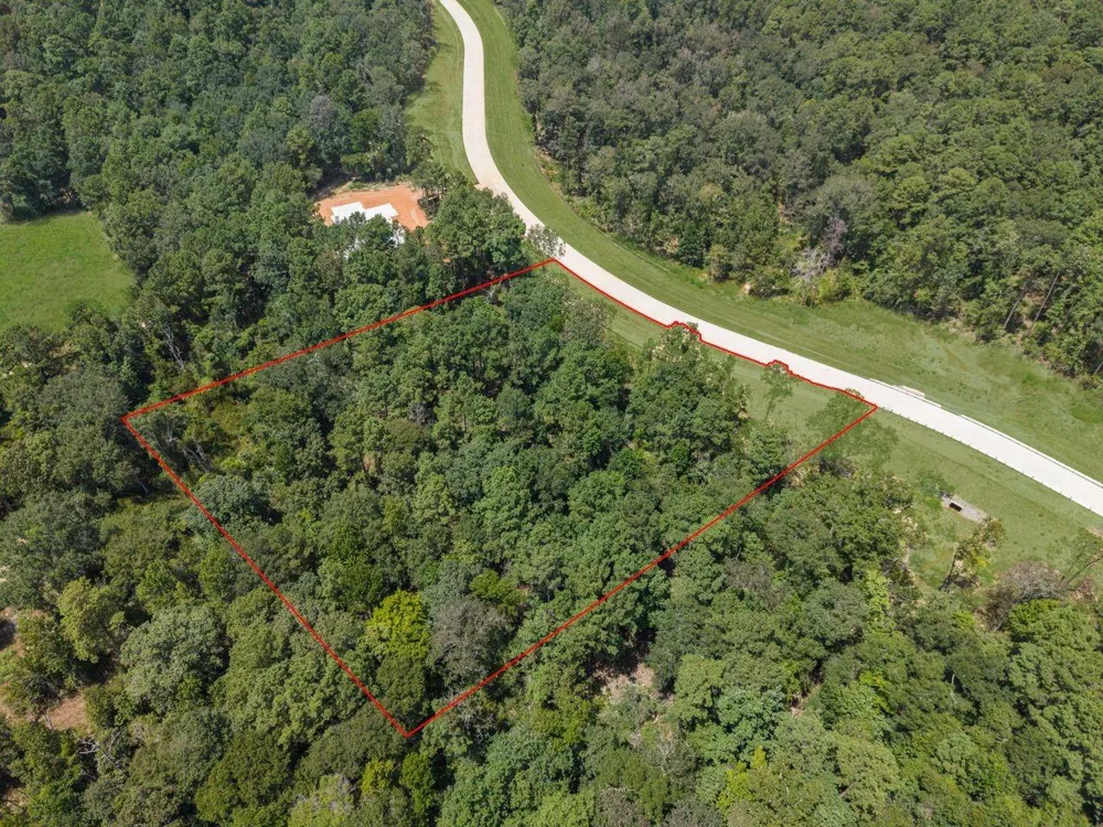 6 Oak Harvest Trail Willis, TX 77378