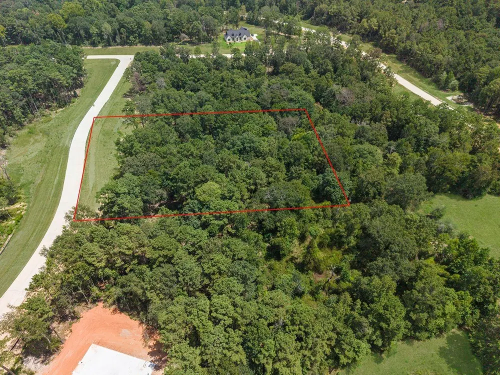 6 Oak Harvest Trail Willis, TX 77378