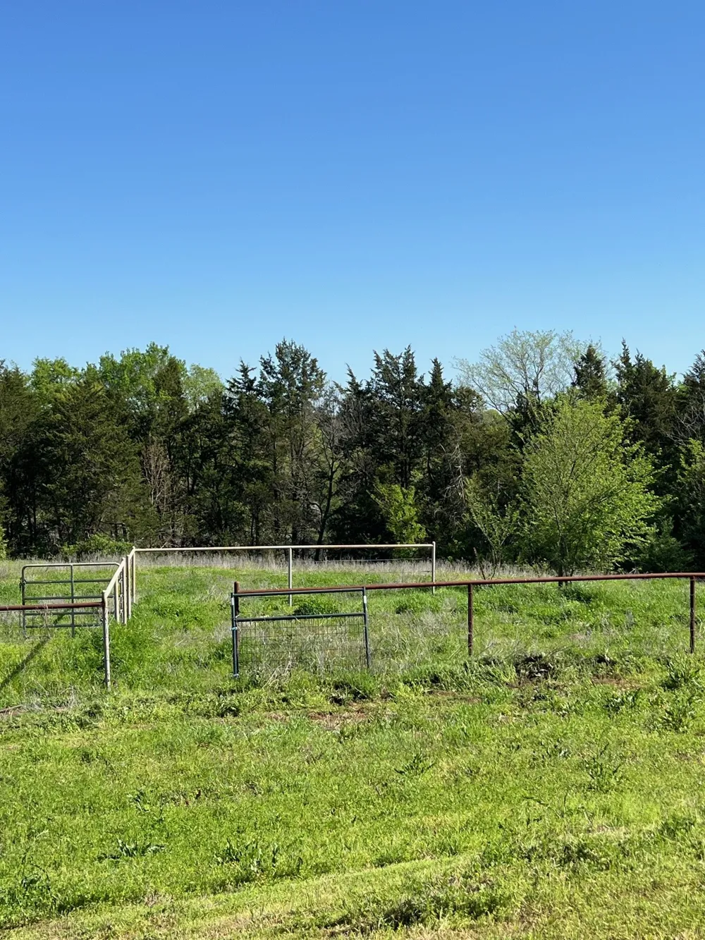 41 Kelsey Road Denison, TX 75021