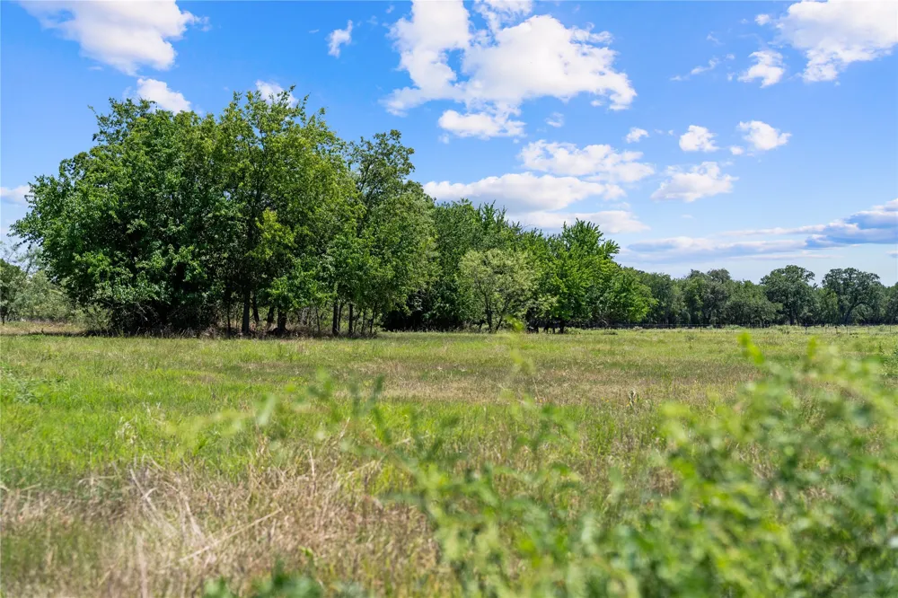 Lakewood Drive Whitney, TX 76692
