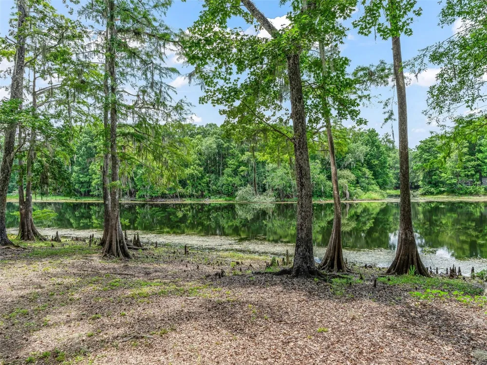 10518 SW 64TH AVENUE Bushnell, FL 33513