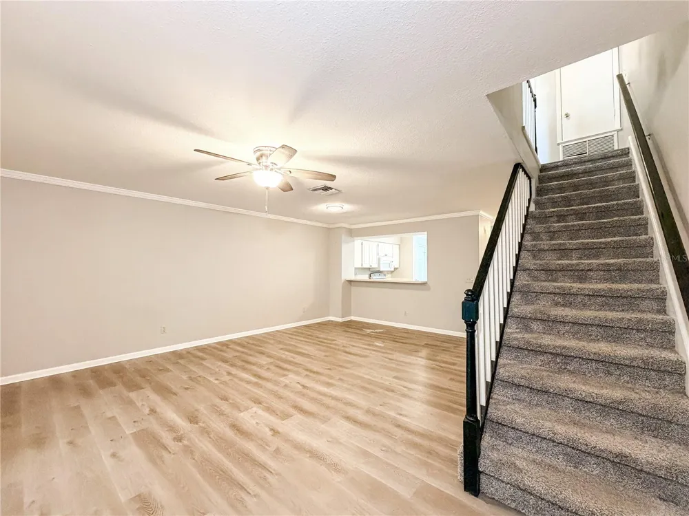 1844 MILL RUN CIRCLE Tampa, FL 33613