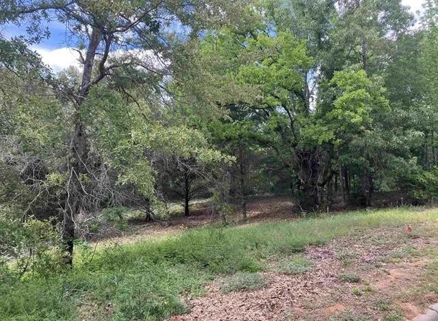 2433 Wellington Trace Tyler, TX 75709