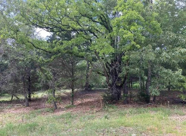 2433 Wellington Trace Tyler, TX 75709