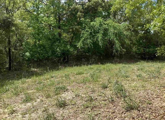 2433 Wellington Trace Tyler, TX 75709