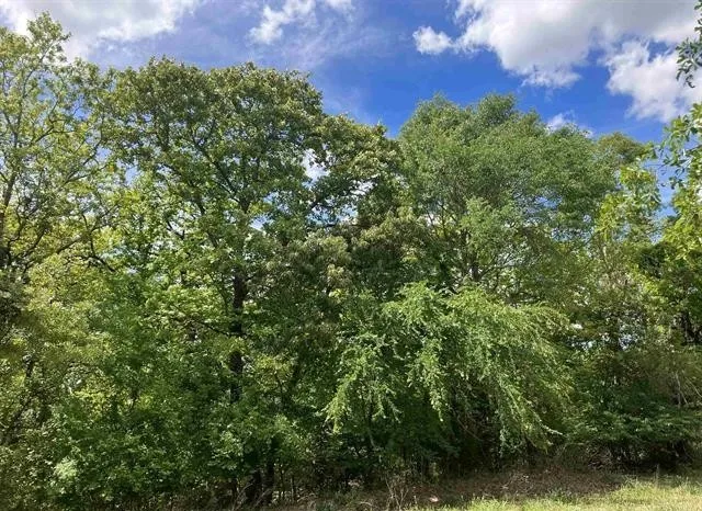 2433 Wellington Trace Tyler, TX 75709