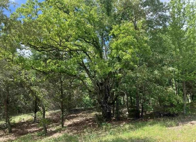 2433 Wellington Trace Tyler, TX 75709