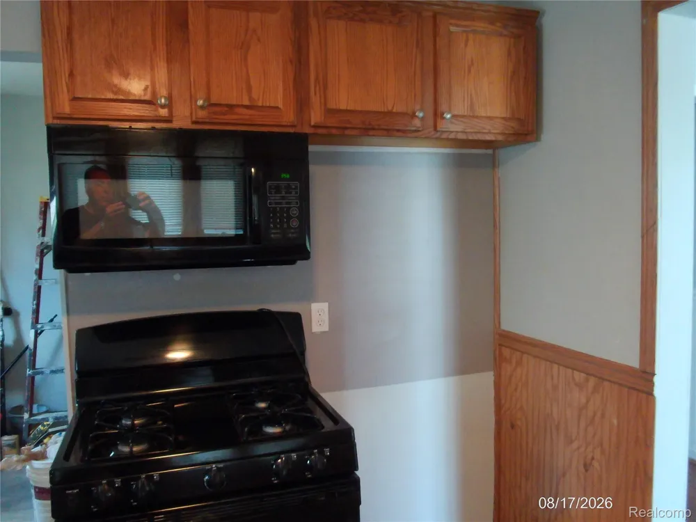 26445 Colgate Street Inkster City, MI 48141