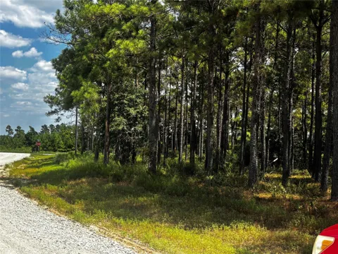 Trinity Trail