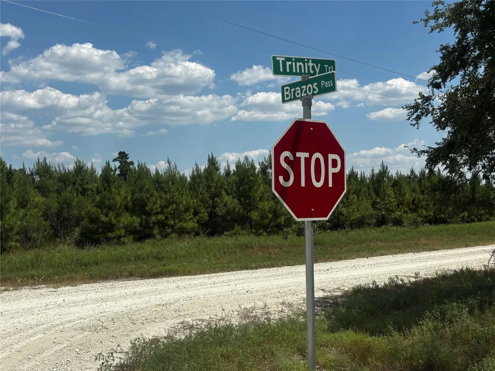 Trinity Trail Lovelady, TX 75851