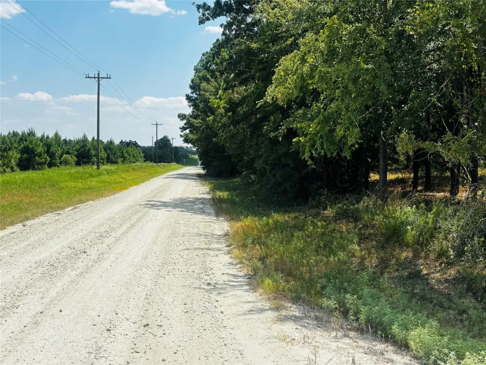 Trinity Trail Lovelady, TX 75851