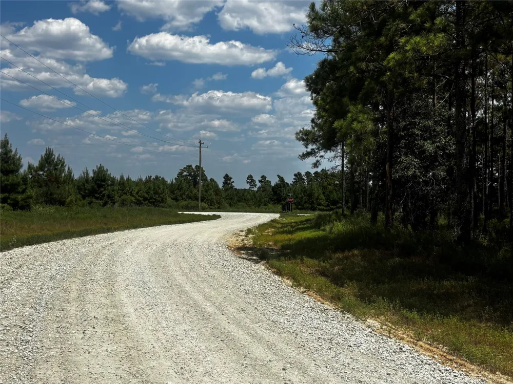 Trinity Trail Lovelady, TX 75851