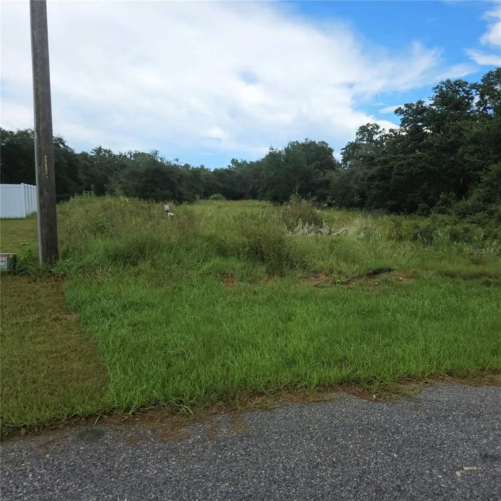 1621 PICKEREL COURT Poinciana, FL 34759