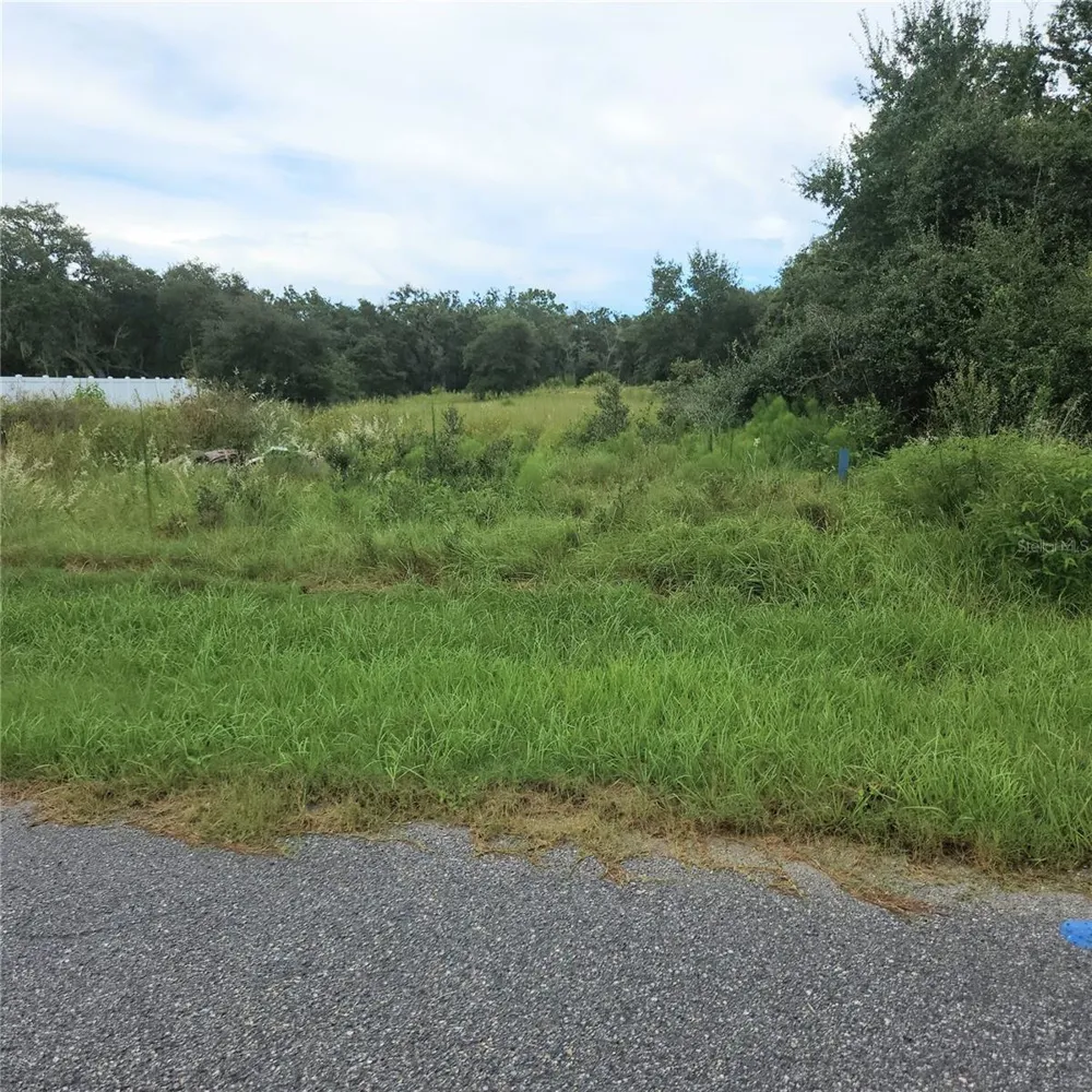 1621 PICKEREL COURT Poinciana, FL 34759