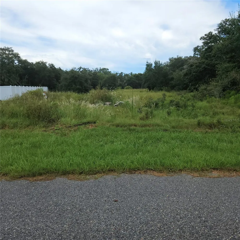 1621 PICKEREL COURT Poinciana, FL 34759