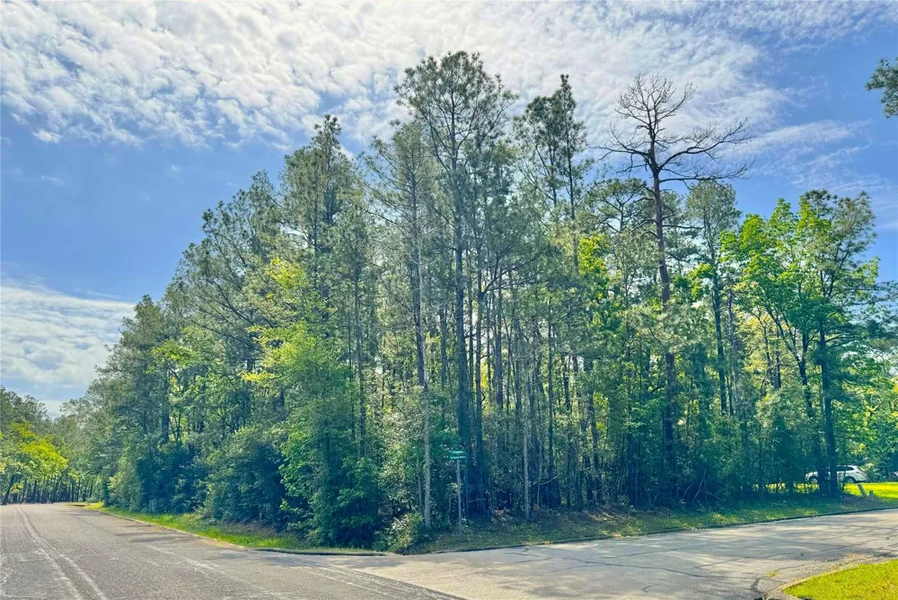 Queenswood Plaza Huntsville, TX 77320
