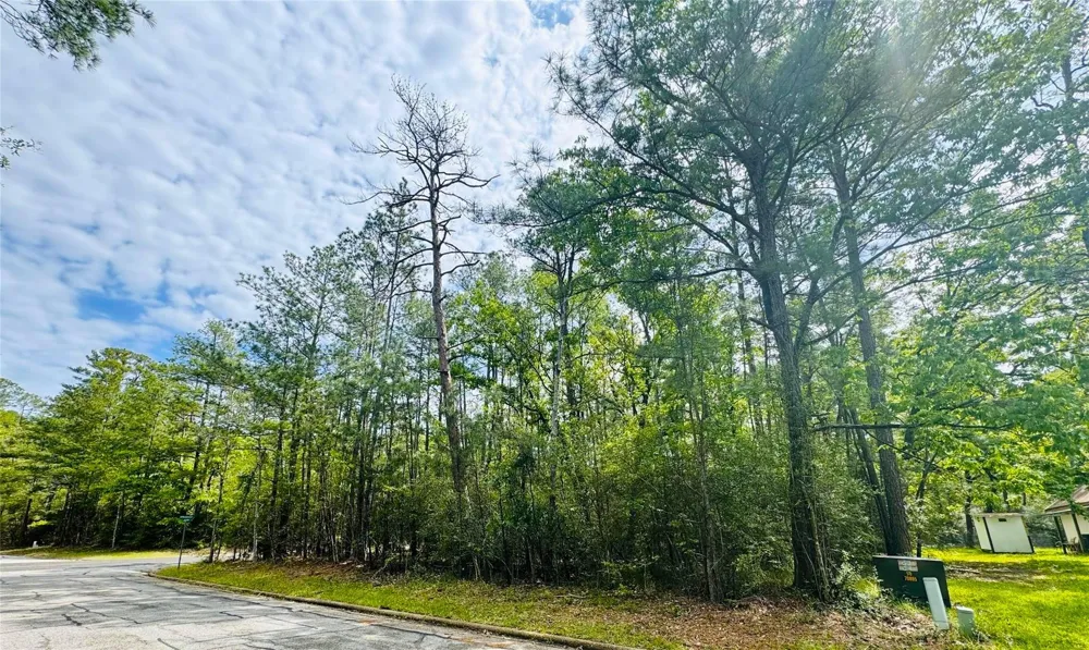 Queenswood Plaza Huntsville, TX 77320