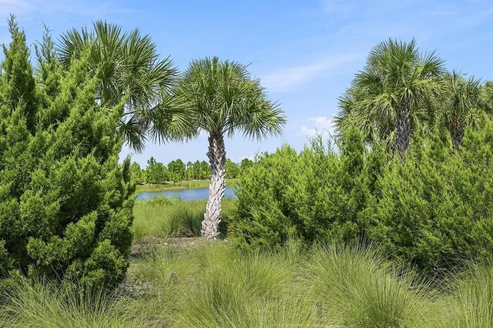 17556 CORKWOOD BEND TRAIL Punta Gorda, FL 33982
