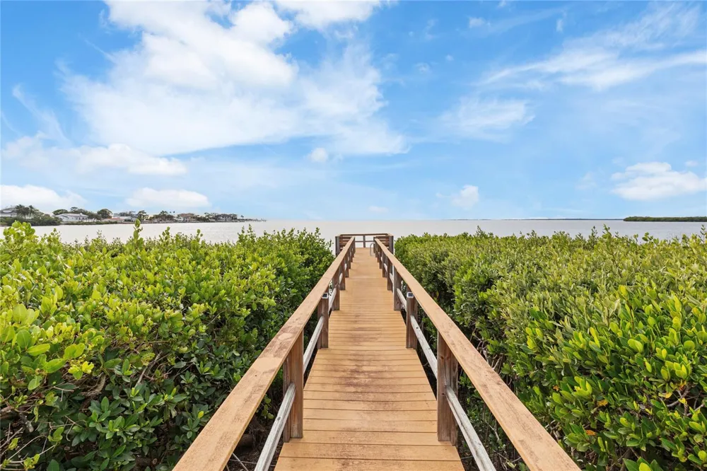 2115 ALEXIS COURT Tarpon Springs, FL 34689