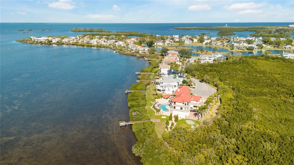 2115 ALEXIS COURT Tarpon Springs, FL 34689