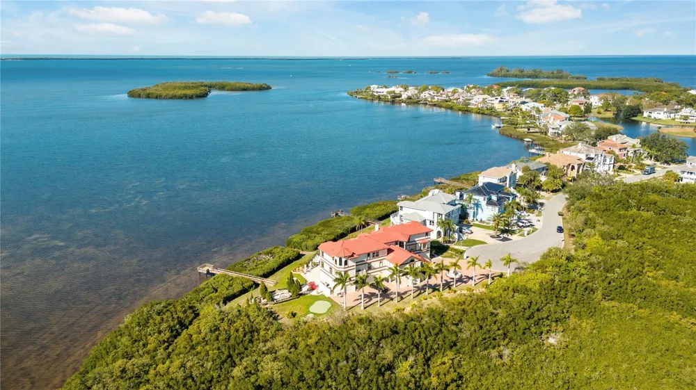 2115 ALEXIS COURT Tarpon Springs, FL 34689