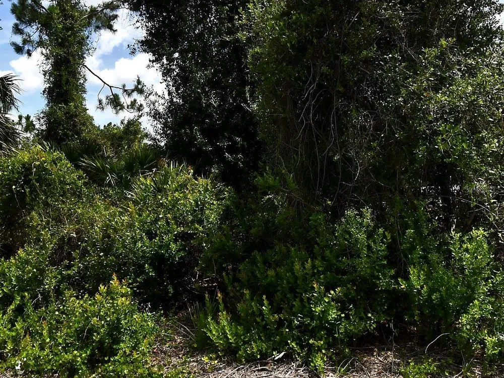 DE BRITA ROAD North Port, FL 34291