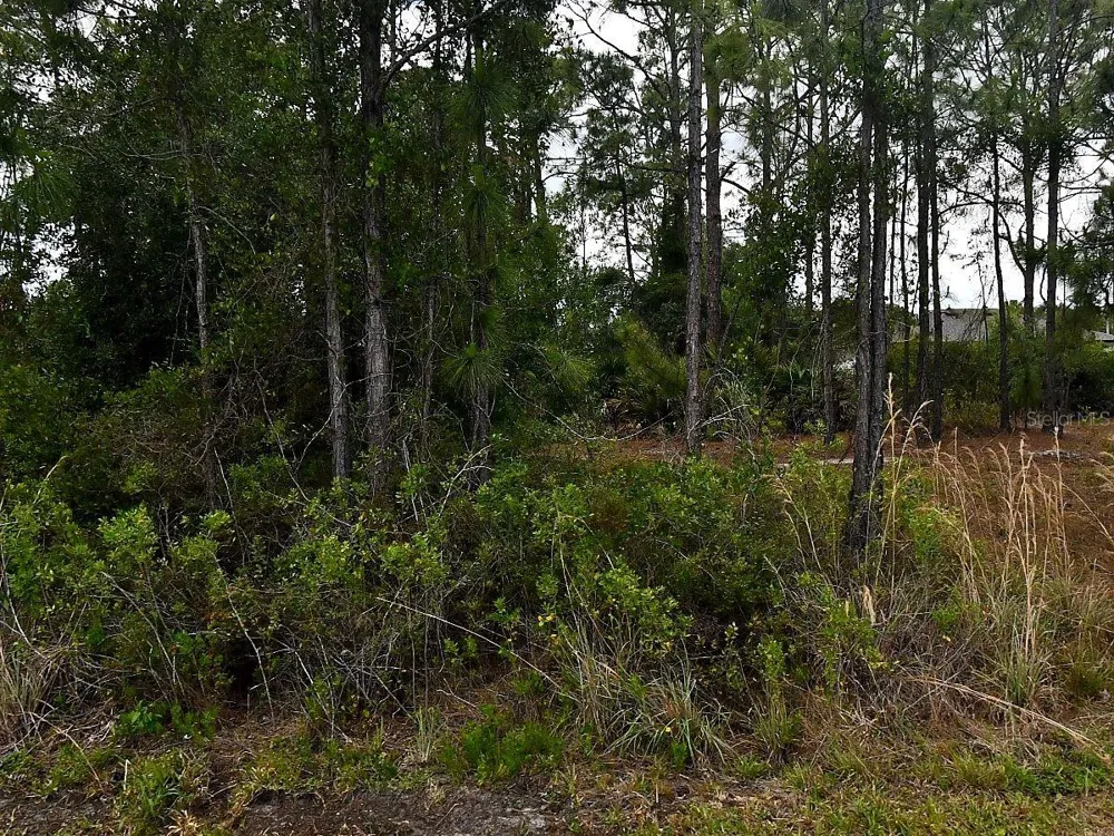 BLACKMAN STREET North Port, FL 34291