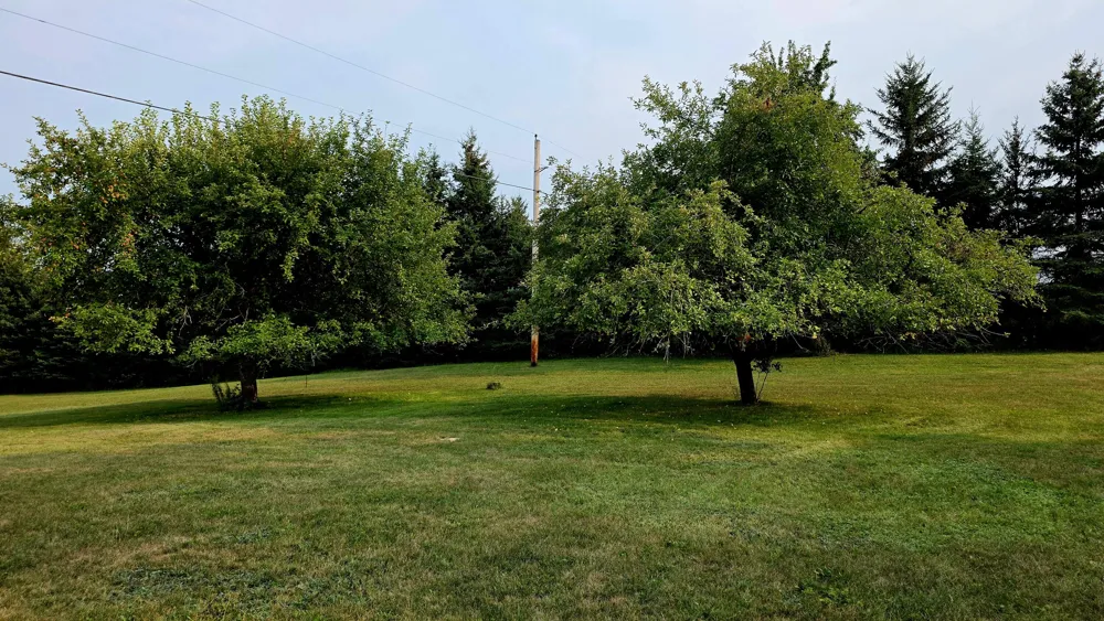 4545 S Rolland Road Broomfield Township, MI 49310