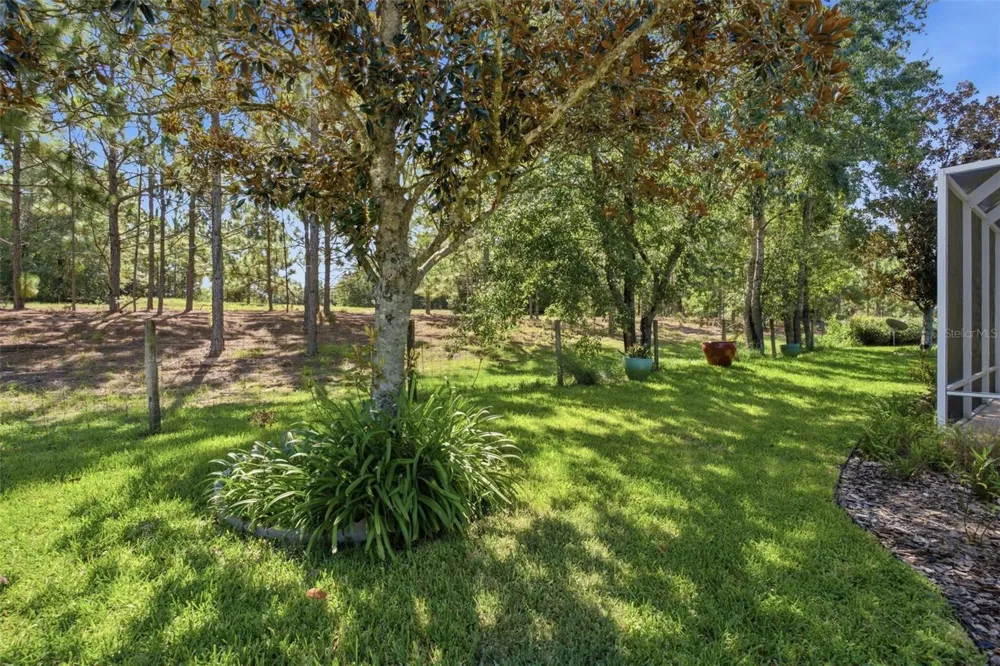 13171 SE 97TH TERRACE ROAD Summerfield, FL 34491