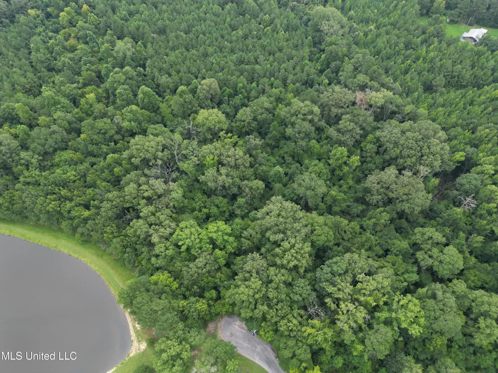 Pine Lake Terry, MS 39170