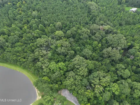 Pine Lake