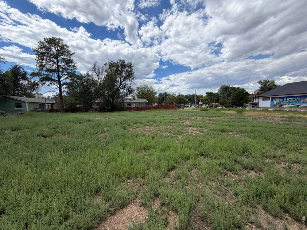 3911 Cleveland Avenue Wellington, CO 80549