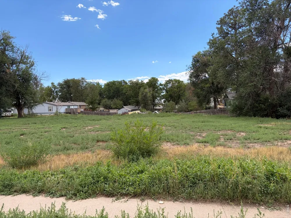 3911 Cleveland Avenue Wellington, CO 80549