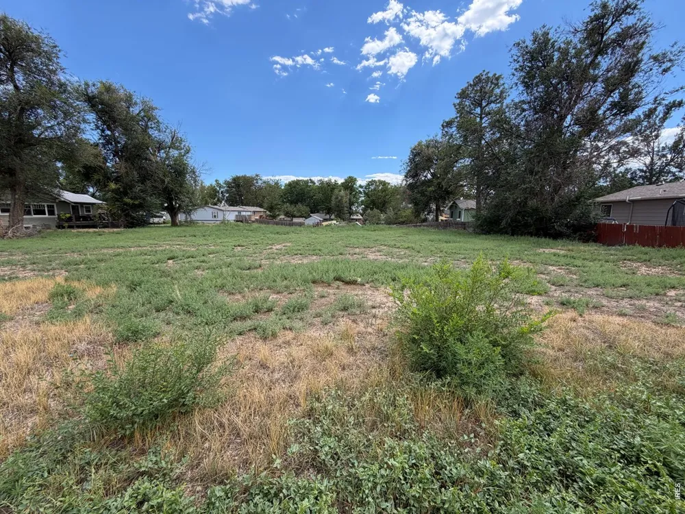 3911 Cleveland Avenue Wellington, CO 80549