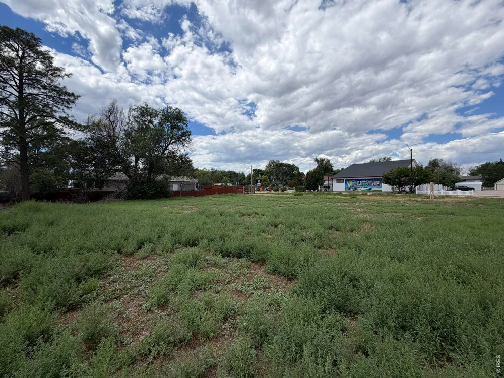 3911 Cleveland Avenue Wellington, CO 80549