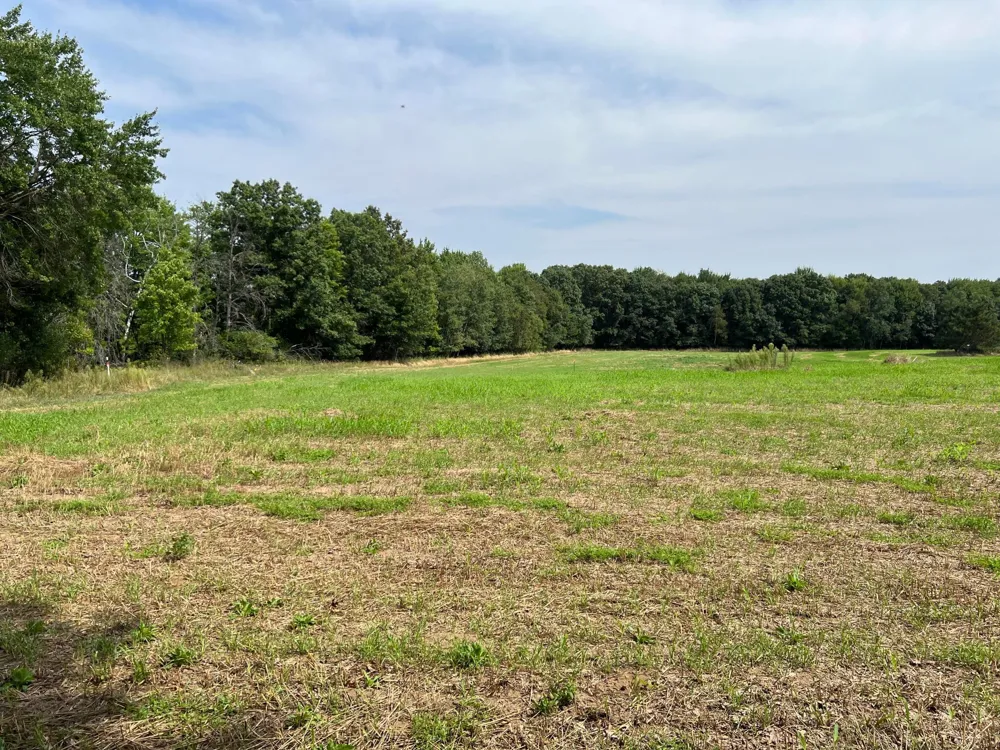 XXXX Elmcrest Avenue Stacy, MN 55079